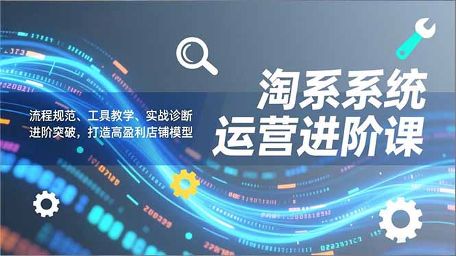 淘系系统运营进阶课2.0，流程规范、工具教学、实战诊断，进阶突破，打造高盈利店铺模型-niguangts