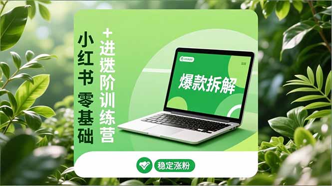 小红书零基础+高阶训练营：安全养号、爆款拆解、长效运营，实现稳定涨粉与变现-niguangts