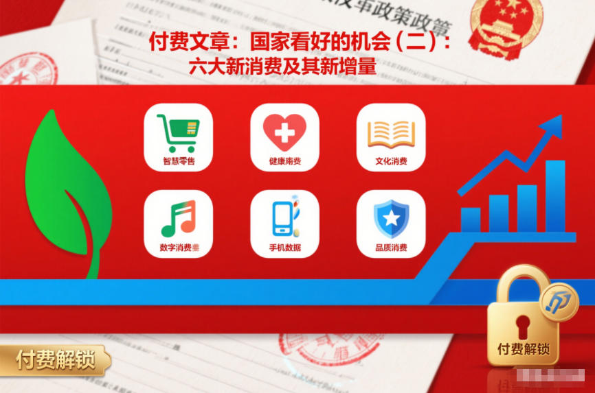 付费文章：国家看好的机会(二)：六大新消费及其新增量-niguangts