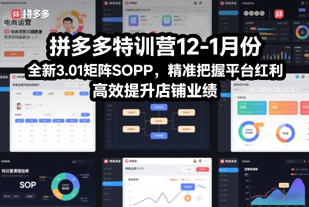 拼多多特训营12-1月份，全新3.01矩阵Sop，精准把握平台红利，高效提升店铺业绩-niguangts