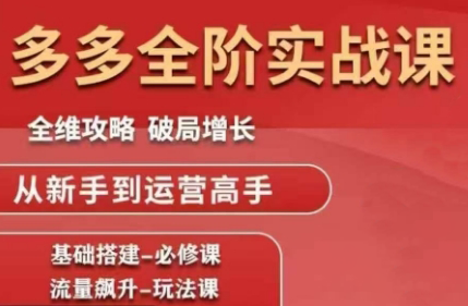 大炮·拼多多全阶实战课程(更新2026)-niguangts