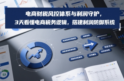 电商财税风控体系与利润守护，3天看懂电商税务逻辑，搭建利润防御系统-niguangts