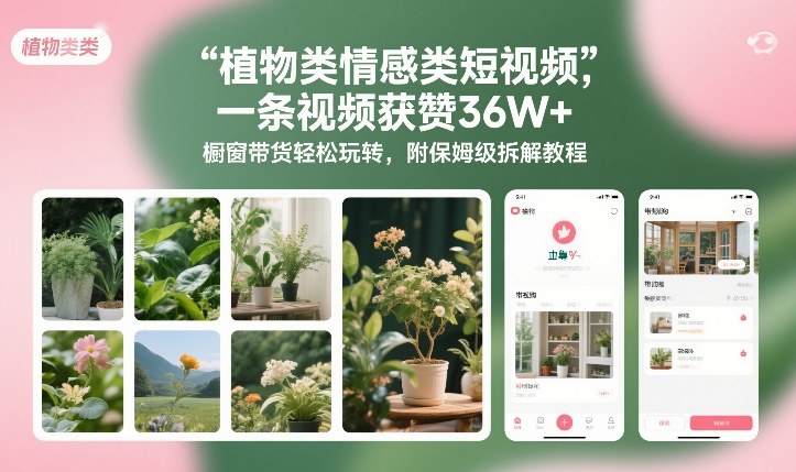植物类情感类短视频，一条视频获赞36W+，橱窗带货轻松玩转，附保姆级拆解教程-niguangts