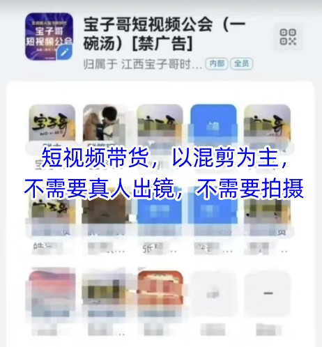 宝子哥头部团队短视频带货，以混剪为主，不需要真人出镜，不需要拍摄【更新26年1月】-niguangts
