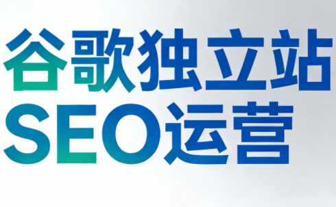 谷歌独立站SEO运营(更新2026)-niguangts