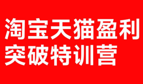 玺承·淘宝天猫盈利突破特训营(25年12月线下课)【音频+字幕】-niguangts