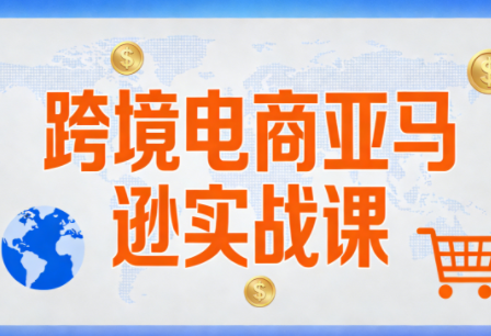 丝丝老师·跨境电商亚马逊实战课(更新2月)-niguangts