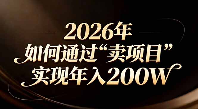 站在2026年的十字路口:一个普通人如何通过卖项目实现年入200万-niguangts