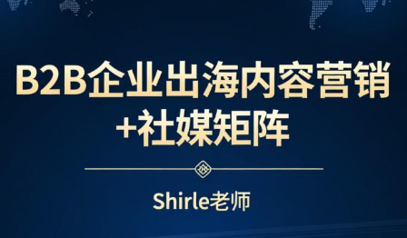 shirle老师·B2B企业出海内容营销+社媒矩阵-niguangts