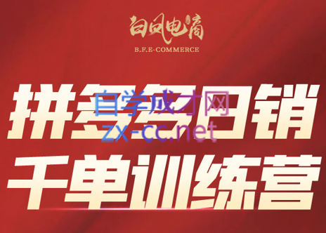 白凤电商·拼多多日销千单训练营(更新3月)-niguangts