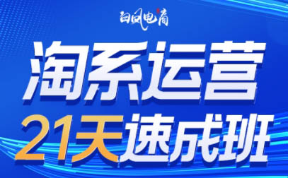 白凤电商·淘系运营21天速成班(更新3月)-niguangts