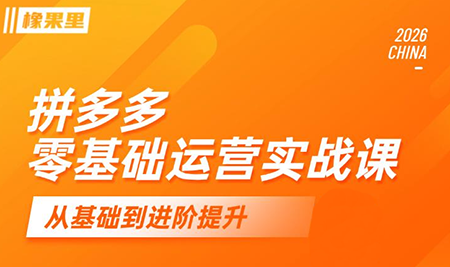 仙道电商·拼多多零基础运营实战课-niguangts