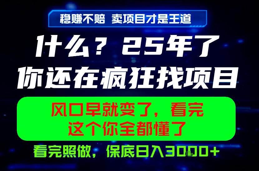 26年，请不要疯狂的找项目做了！卖项目才是真的稳賺不赔，看完照做，保底日入1k+【揭秘】-niguangts