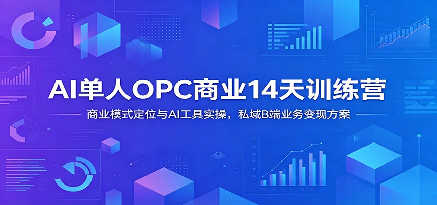 AI单人OPC商业14天训练营：商业模式定位与AI工具实操，私域B端业务变现方案-niguangts