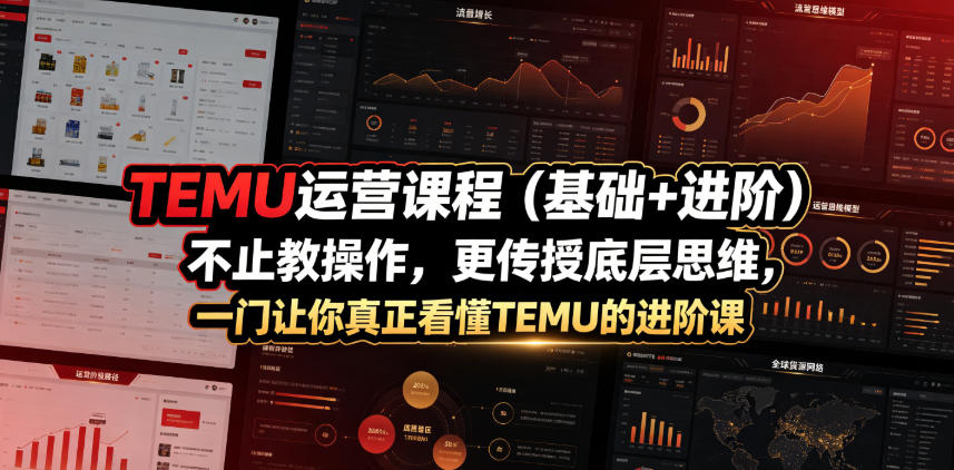 TEMU运营课程(基础+进阶)，不止教操作，更传授底层思维，一门让你真正看懂TEMU的进阶课-niguangts