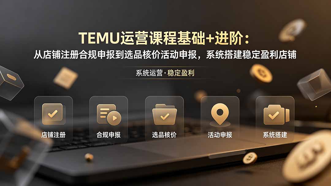 TEMU运营课程(基础+进阶-niguangts