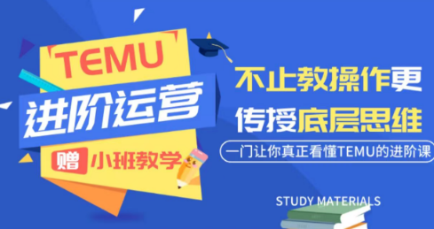 阿卡林·TEMU运营课程(基础+进阶)-niguangts