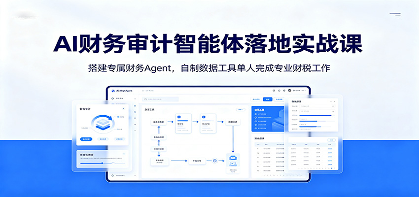AI财务审计智能体落地实战课：搭建专属财务Agent，自制数据工具单人完成专业财税工作-niguangts