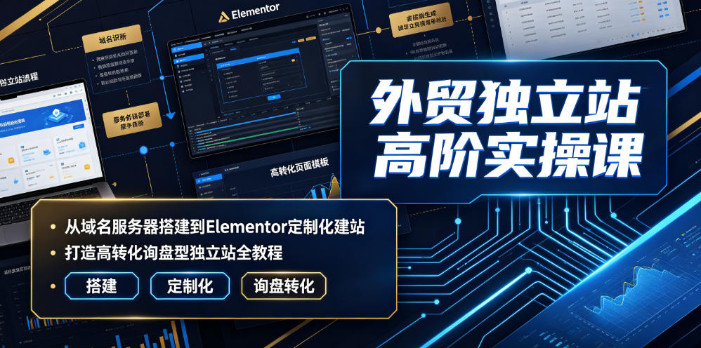 外贸独立站高阶实操课｜从域名服务器搭建到Elementor定制化建站，打造高转化询盘型独立站全教程-niguangts