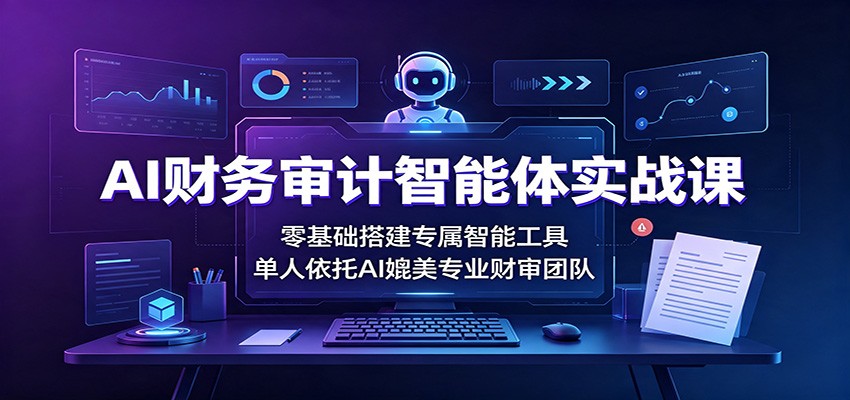 AI财务审计智能体实战课：零基础搭建专属智能工具，单人依托AI媲美专业财审团队-niguangts